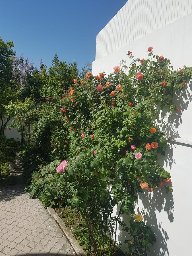 Hotel Badagi Tbilisi Luaran gambar